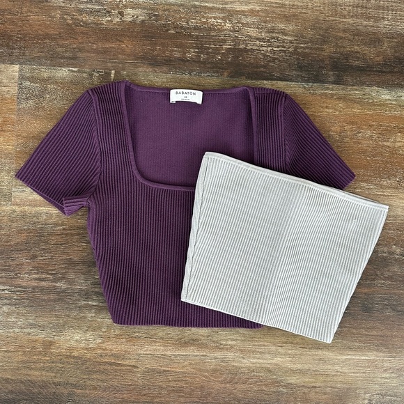 Babaton Tops - Aritzia Babaton Lot of 2 Tops